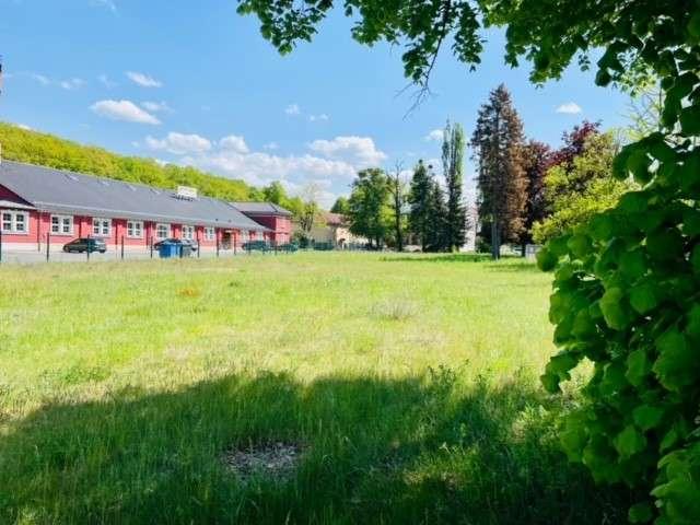 Erdgeschosswohnung kaufen in Pirna, Sächsische Schweiz-Osterzgebirge