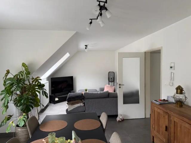 Appartement location à Dendermonde, Oost-Vlaanderen
