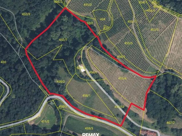 Haus kaufen in Kaindorf an der Sulm