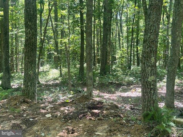 Land for sale in West Virginia