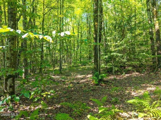 Land for sale in Maryland, New York