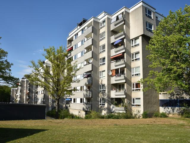Apartment mieten in Eichelkamp, Wolfsburg