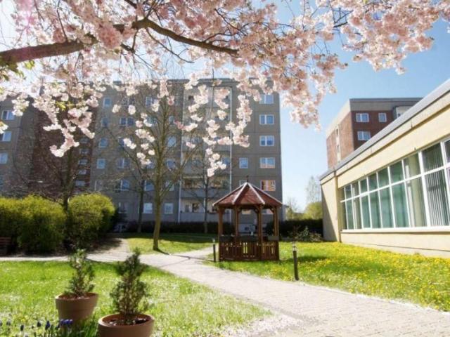 Apartment mieten in Chrieschwitz, Plauen