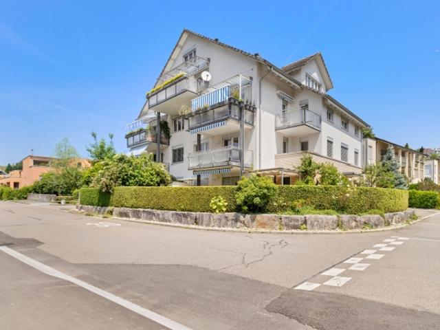 Duplex kaufen in Birmensdorf (ZH)
