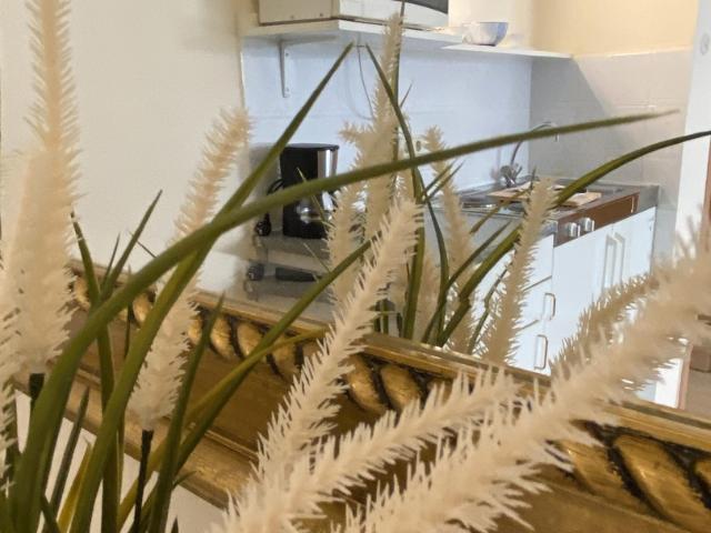 Wohnung mieten in Pempelfort, Düsseldorf