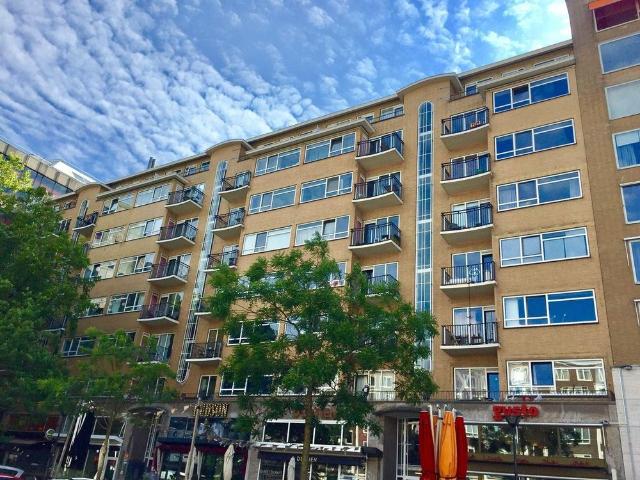 Kamer te huur in Rotterdam, Stadsdriehoek