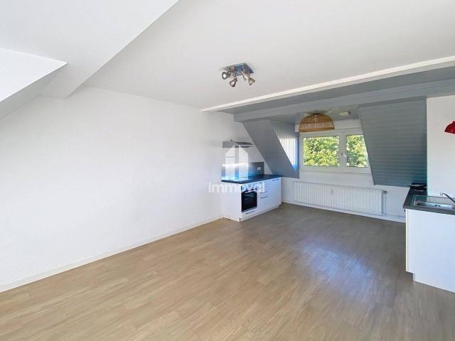 Appartement location à Schiltigheim, Collectivité européenne d'Alsace