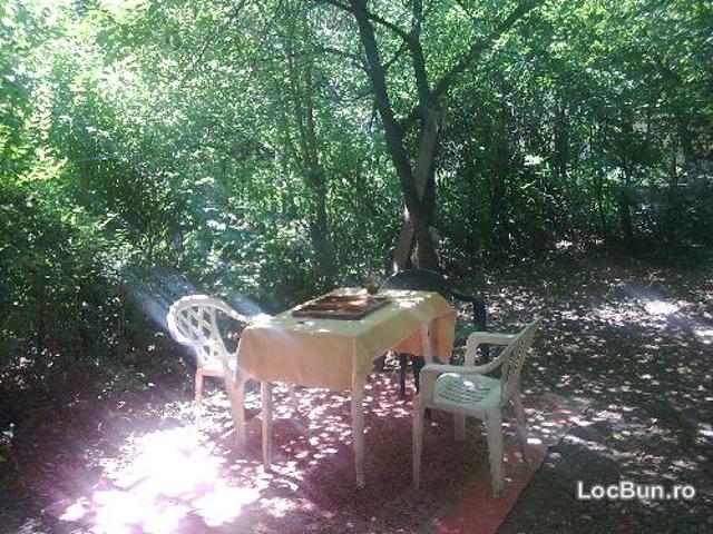 Apartament vânzări în București