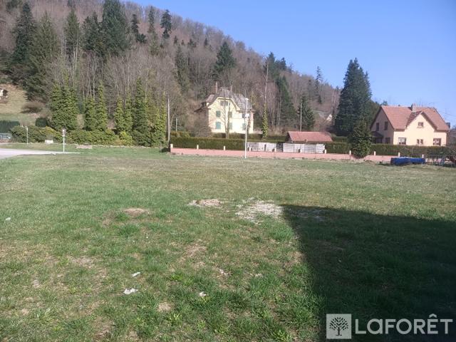 Terrain vente à Molsheim, Schirmeck