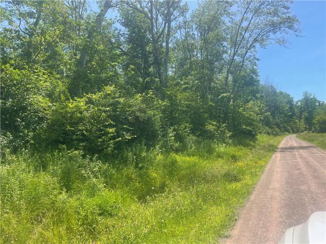 Land for sale in Guilford, New York