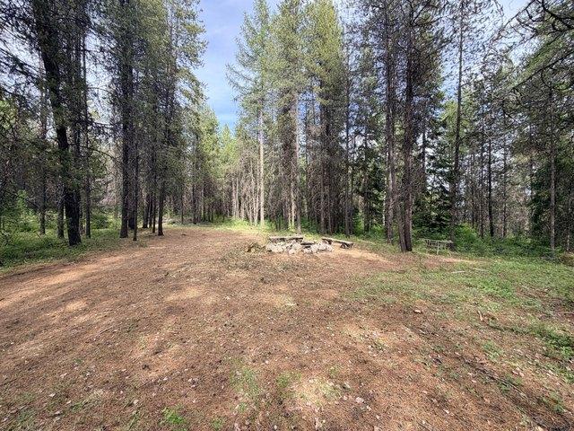 Land for sale in Ione, Washington
