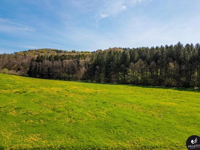 Grundstück kaufen in Riegersburg, Steiermark