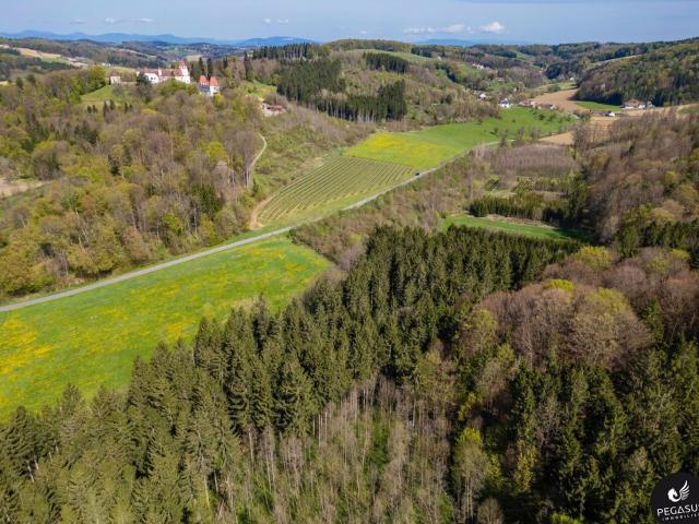 Grundstück kaufen in Riegersburg, Steiermark