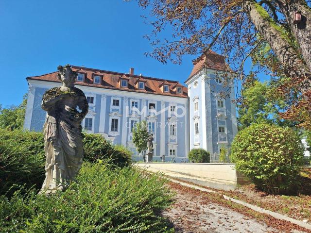 Apartment kaufen in Wels, Oberösterreich