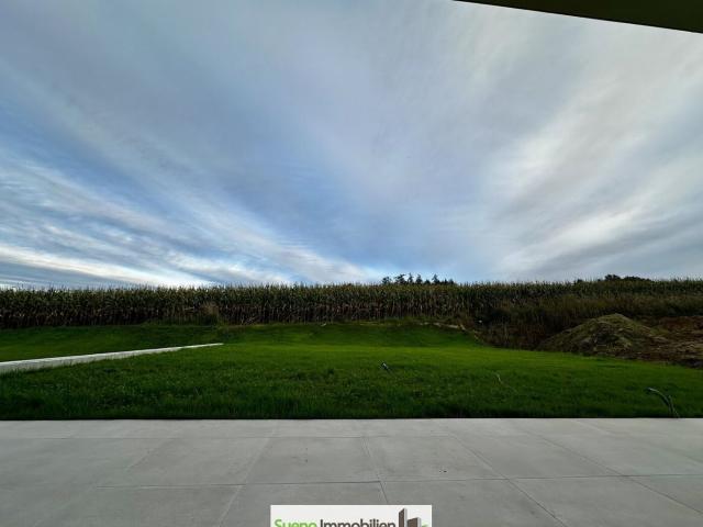 Haus kaufen in Niederthalheim, Oberösterreich