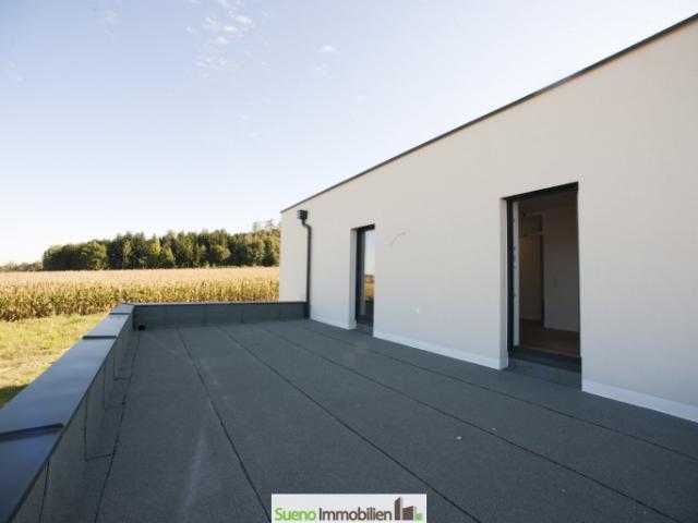 Doppelhaushälfte kaufen in Niederthalheim, Oberösterreich