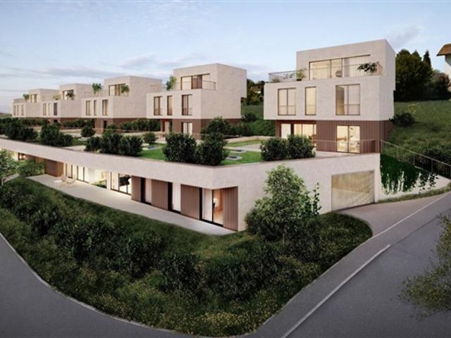 Einfamilienhaus kaufen in Villmergen, Aargau