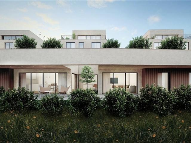 Reihenfamilienhaus kaufen in Villmergen, Aargau