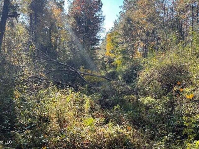 Land for sale in Mccomb, Mississippi