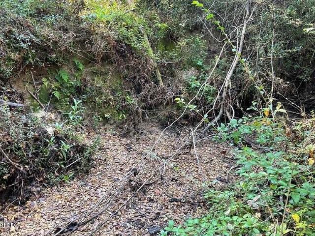 Land for sale in Mccomb, Mississippi