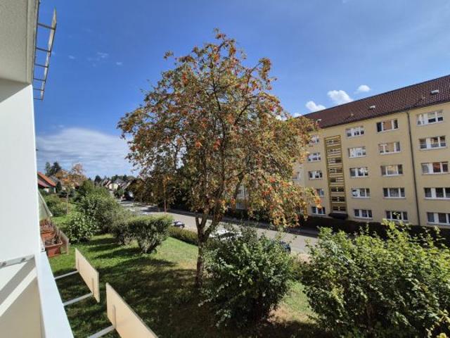 Wohnung mieten in Hohenstein-Ernstthal, Sachsen