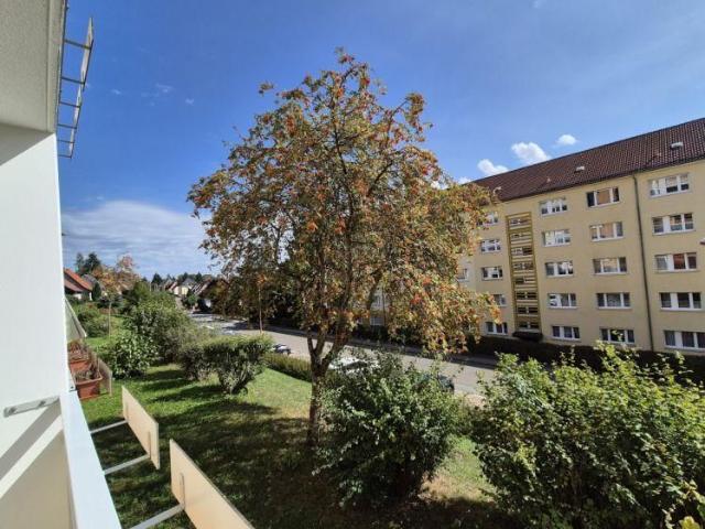 Apartment mieten in Hohenstein-Ernstthal, Sachsen