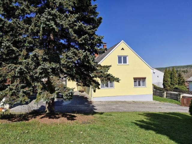 Haus kaufen in Güssing, Burgenland