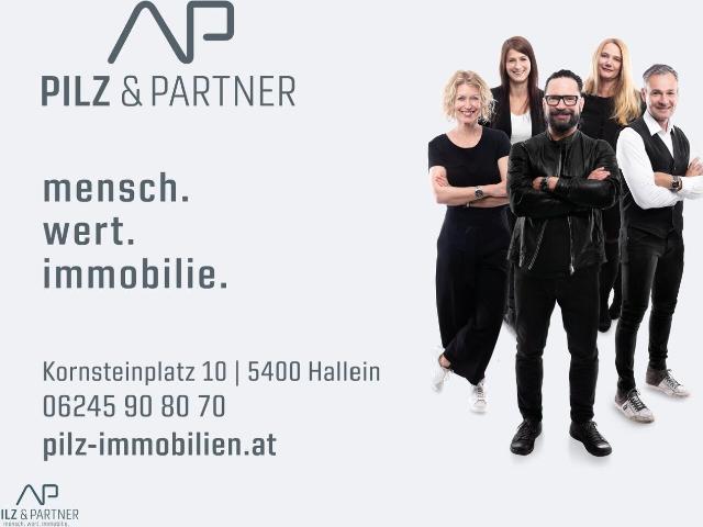 Etagenwohnung mieten in Hallein