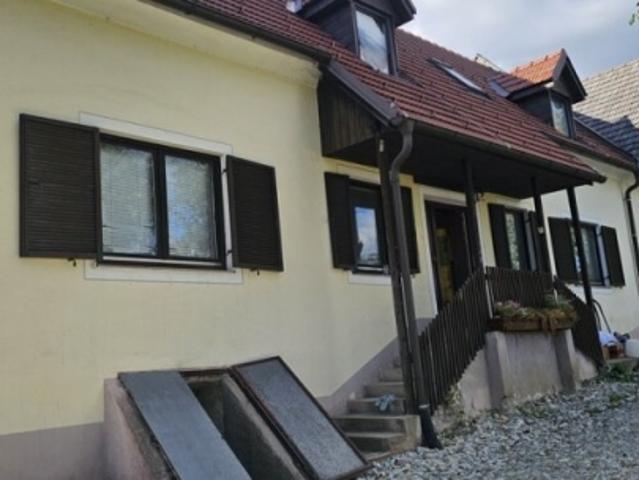 Bauernhaus kaufen in Rohrbach an der Lafnitz, Steiermark