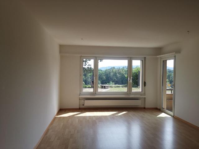 Immobilie kaufen in Birmenstorf (AG), Aargau