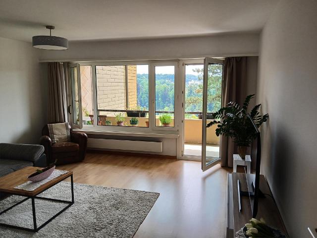 Immobilie kaufen in Birmenstorf (AG), Aargau