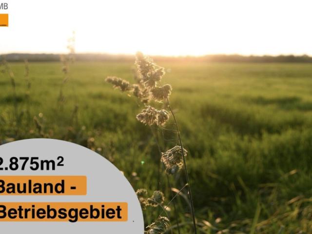 Grundstück kaufen in Potzneusiedl, Burgenland