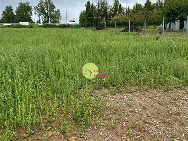 Terrain vente à Saverne, Schnersheim