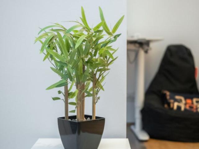 Apartment mieten in KG Landstraße, Wien