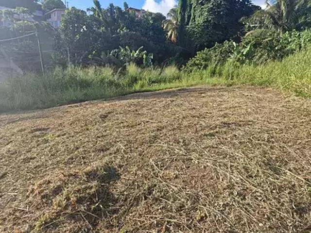 Terrain vente à L'Enclos, Martinique