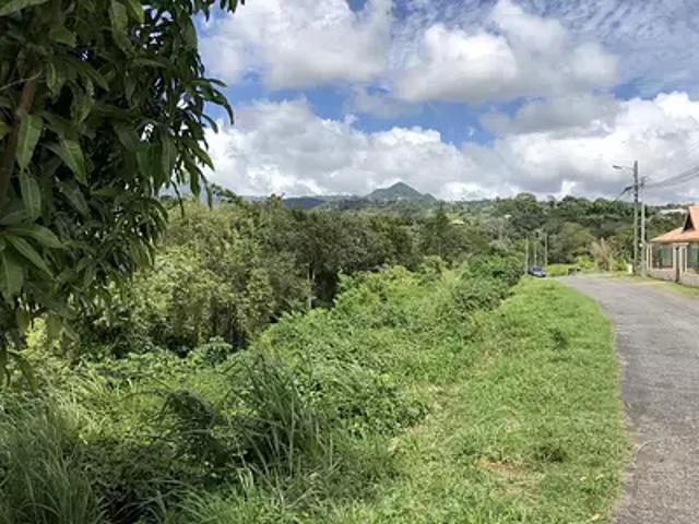 Terrain vente à L'Enclos, Martinique