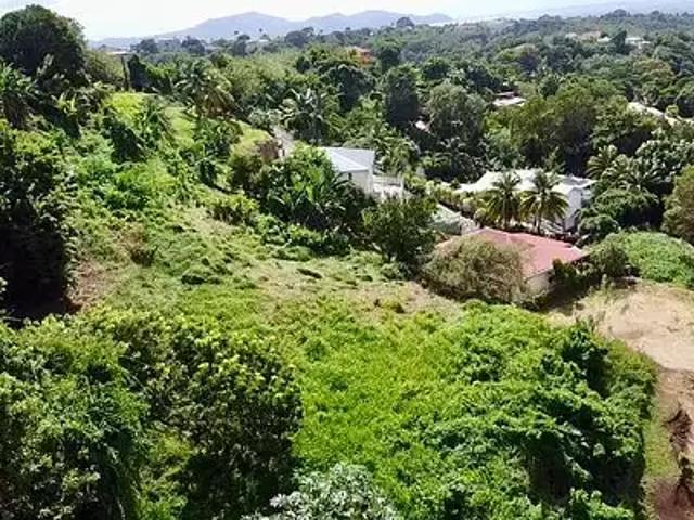 Terrain vente à L'Enclos, Martinique
