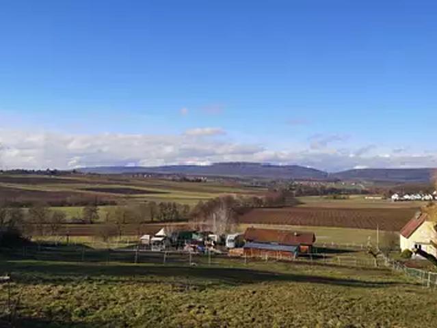 Terrain vente à Schœnenbourg, Collectivité européenne d'Alsace