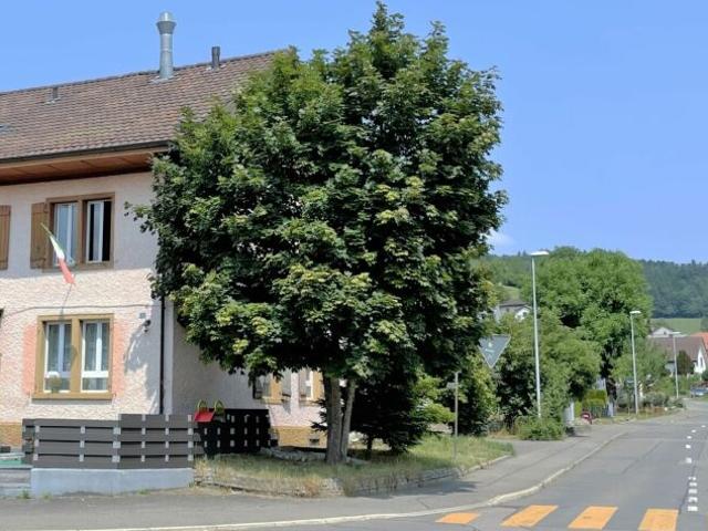 Wohnung mieten in Oberkulm, Aargau