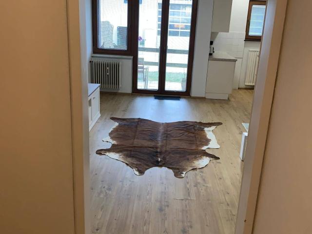 Apartment mieten in Aurach bei Kitzbühel, Tirol