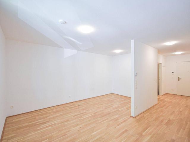 Apartment mieten in KG Brigittenau, Wien