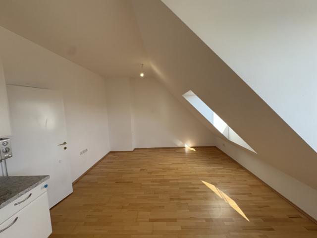 Dachgeschosswohnung kaufen in KG Hadersdorf, Wien
