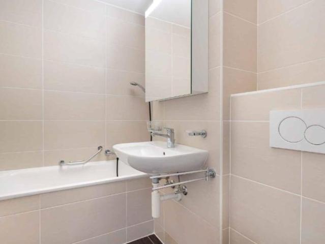 Wohnung kaufen in Corsier-sur-Vevey, Waadt
