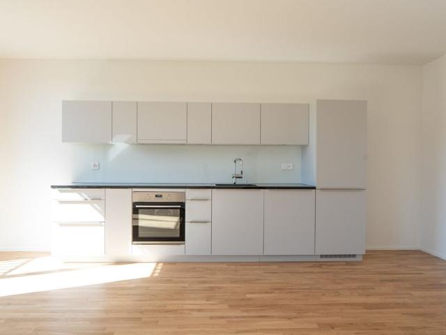 Apartment mieten in Mellingen, Bezirk Baden
