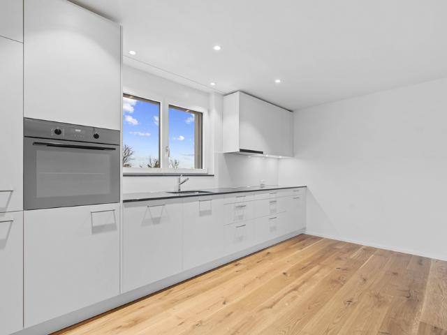 Apartment mieten in Reinach (BL), Basel-Landschaft