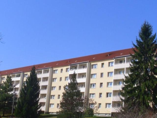 Apartment mieten in Lichtenstein/Sachsen, Lichtenstein