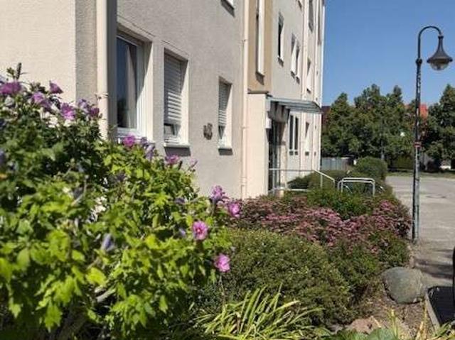 Wohnung kaufen in Borsdorf, Landkreis Leipzig