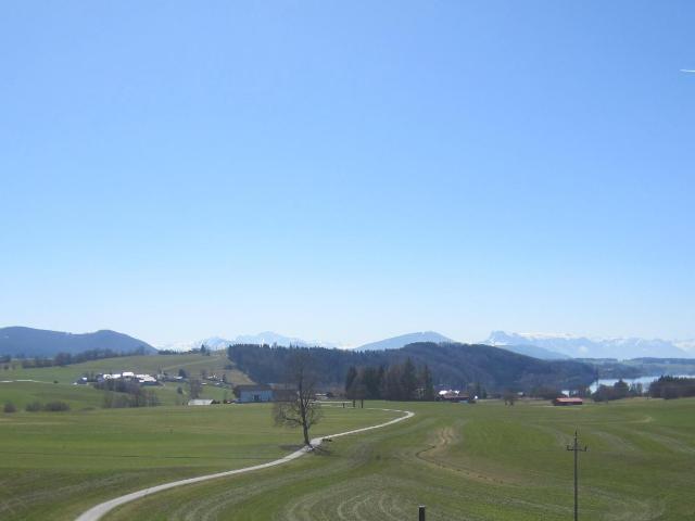 Apartment mieten in Haslach, Neumarkt am Wallersee