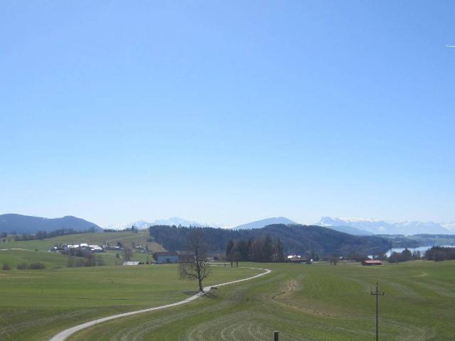 Apartment mieten in Neumarkt am Wallersee, Bezirk Salzburg-Umgebung