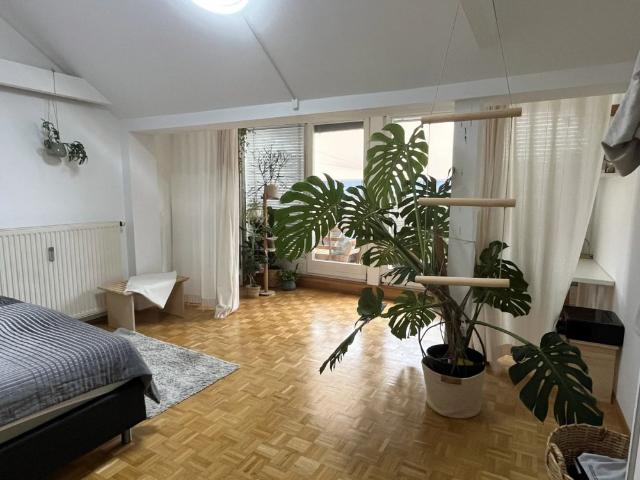 Apartment mieten in Innere Stadt, Gersdorf-Feistritz